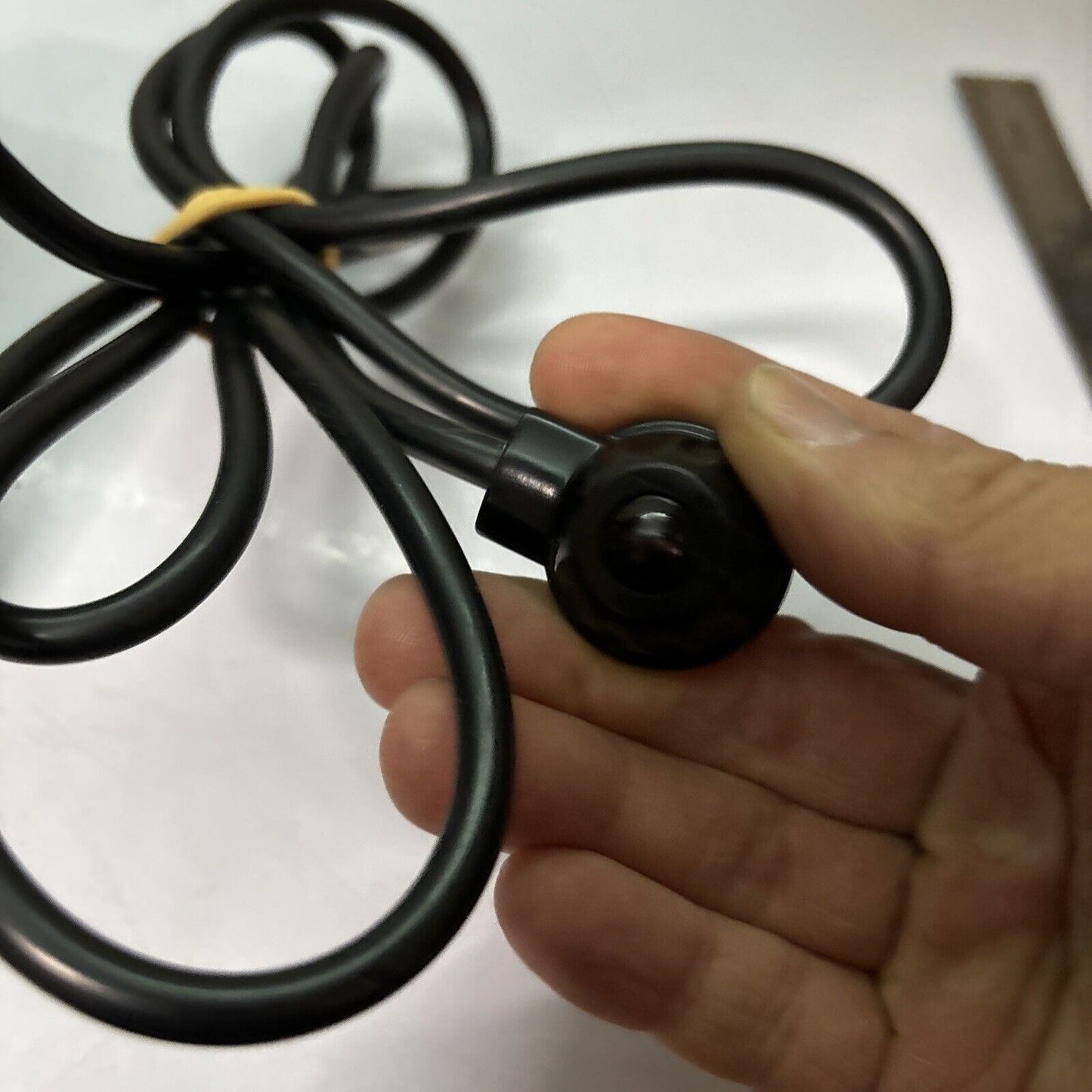 Mort Bay 0049 240VAC 10A Item 0949