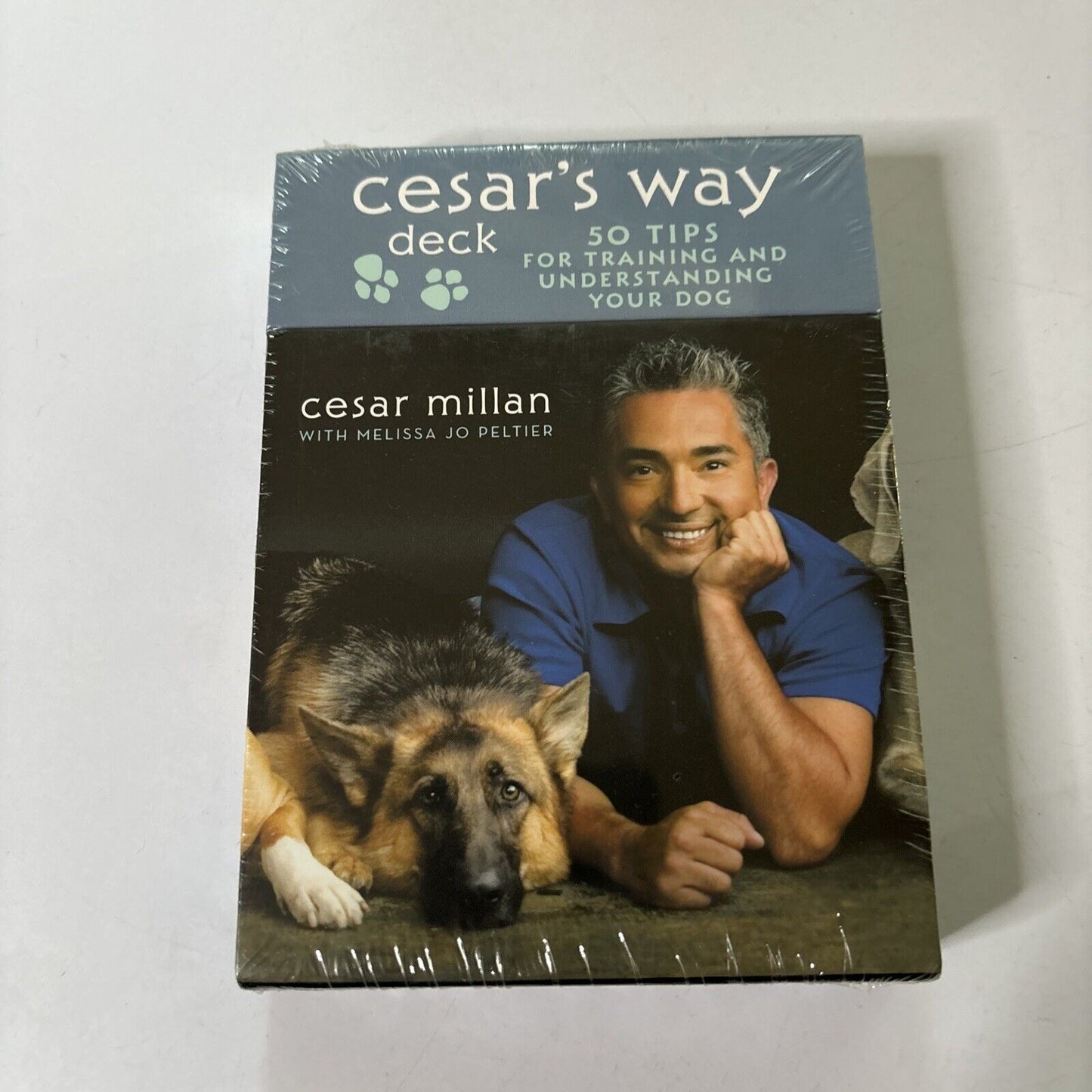 Cesar's Way Deck: 50 Tips for Training and Understanding Your Dog  Cesar Millan