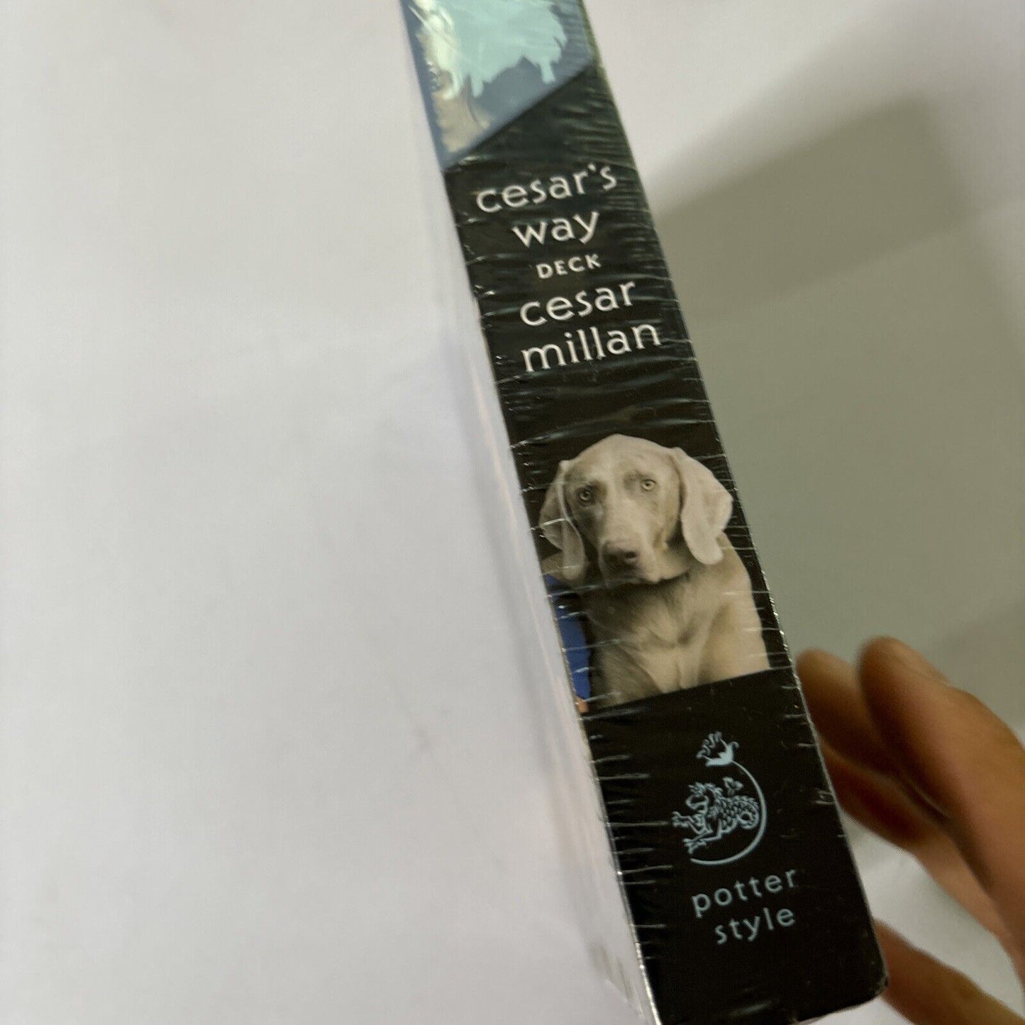 Cesar's Way Deck: 50 Tips for Training and Understanding Your Dog  Cesar Millan