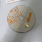 Wii Music Nintendo Wii 2008 Game PAL Complete With Manual