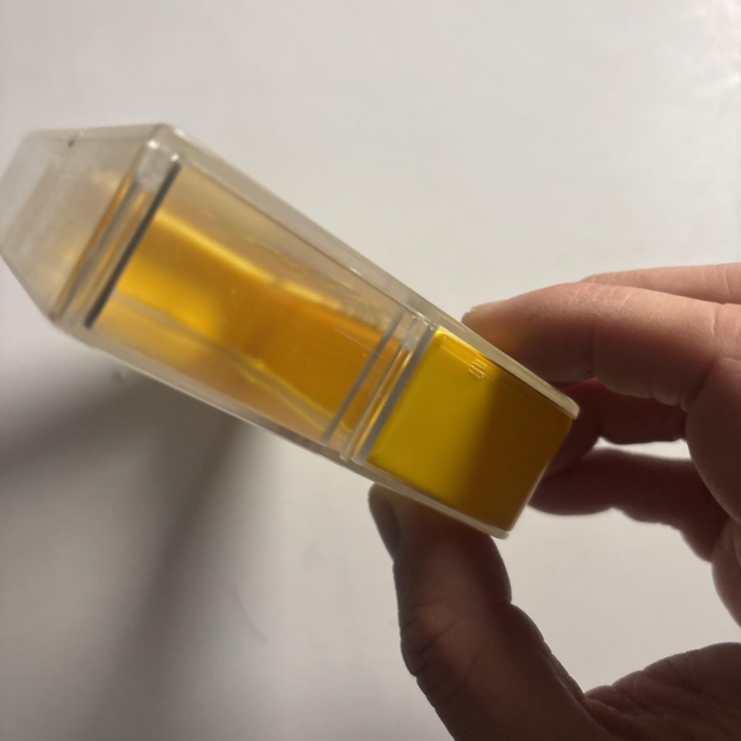 Official Super Mario 64 Nintendo 64 Cartridge Case