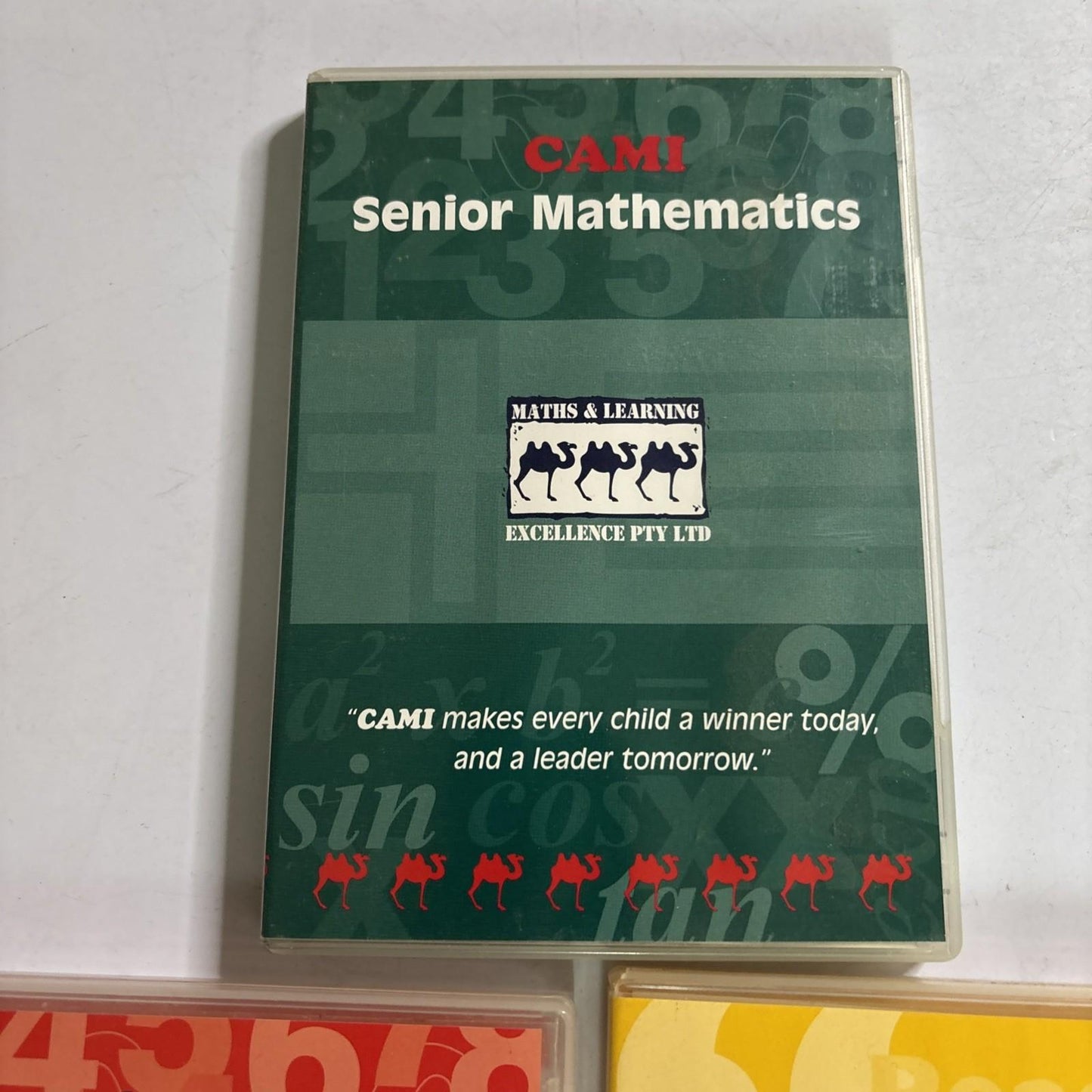 CAMI: Senior & Junior Mathematics / Reading System PC Win95 XP