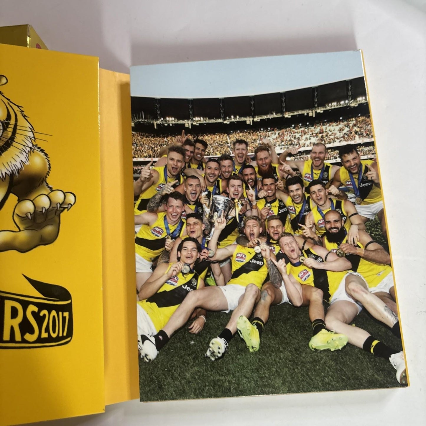 AFL - 2017 Premiers Victory Pack (DVD, 2017) Region 4