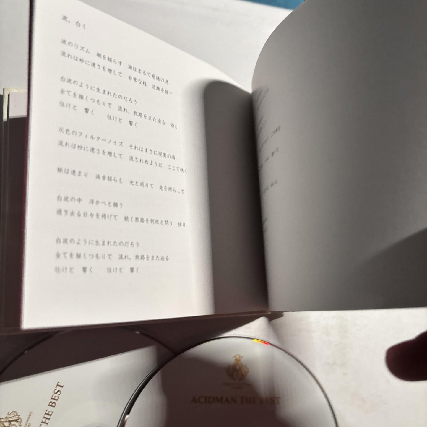 Acidman - The Best  2002-2012 (CD, 2012, 2-Disc) Japan Toct-28086