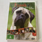 Frank (DVD, 2007) Britt Robertson, Greg Amici, David Browneagle, Region 4