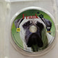 Frank (DVD, 2007) Britt Robertson, Greg Amici, David Browneagle, Region 4