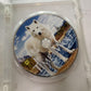Time Of The Wolf (DVD, 2002) Burt Reynolds, Jason Priestley Region 4