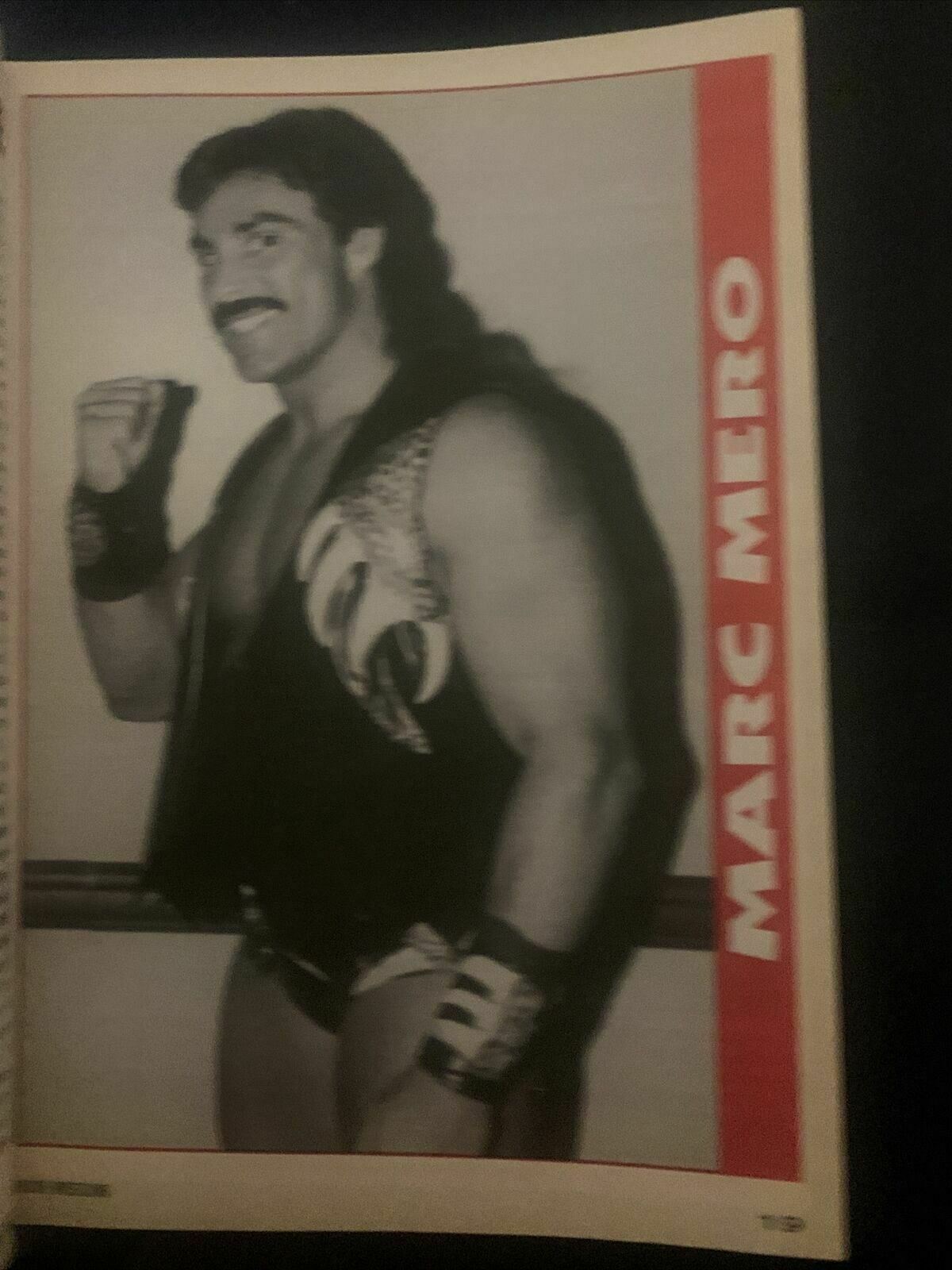 Inside Wrestling Magazine December 1996 - Horsemen, Goldust, Bret Hart