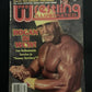 Pro Wrestling Illustrated November 1994 - Hogan, Randy Savage, Shawn Michaels