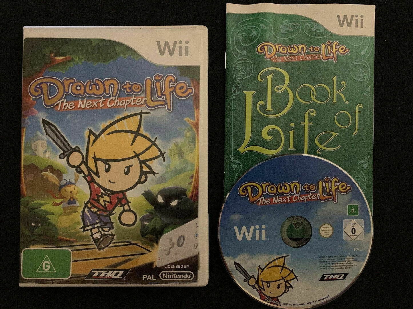 Drawn to Life: The Next Chapter (Nintendo Wii, 2009)