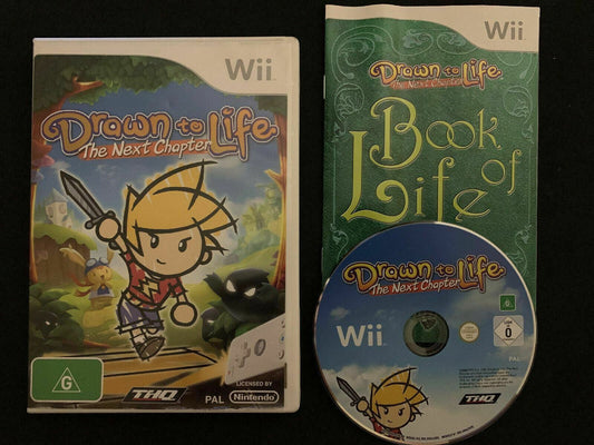 Drawn to Life: The Next Chapter (Nintendo Wii, 2009)