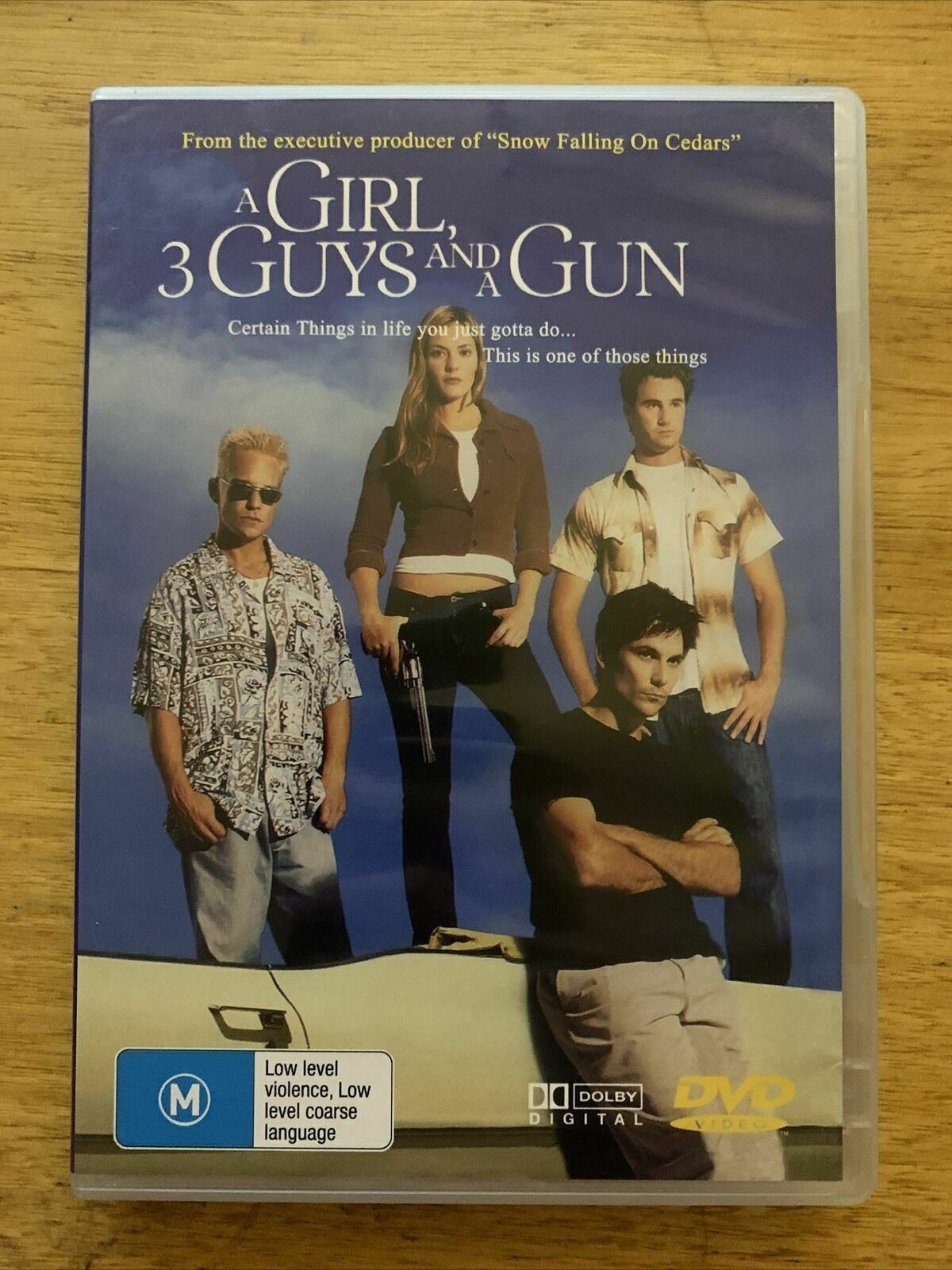 A Girl, 3 Guys And A Gun (DVD, 2000) Josh Holland, Tracy Zahoryin