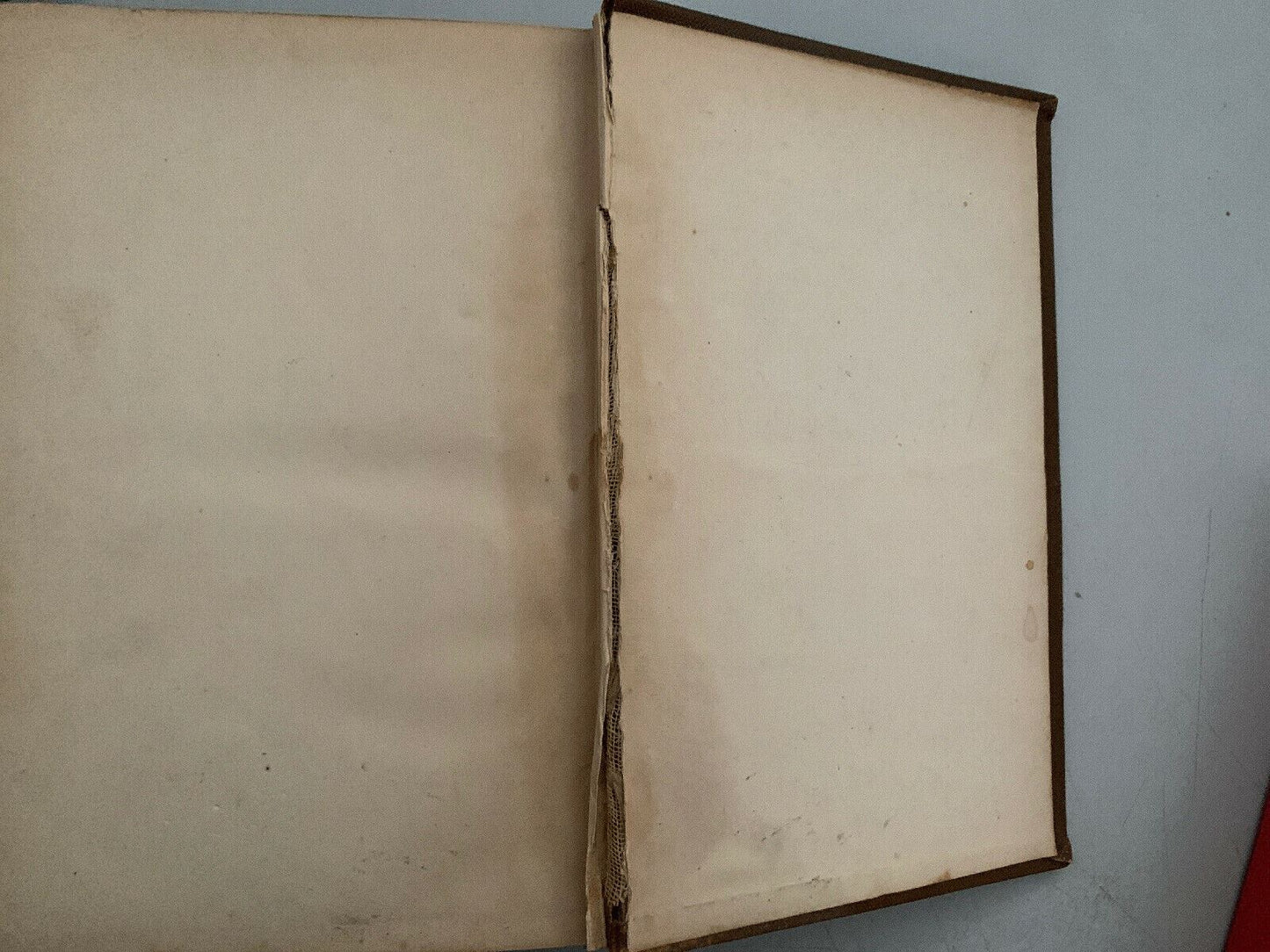 W M Thackeray's Works - The Newcomes - William Makepeace Thackeray