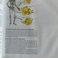 Biological Psychology by S. Marc Breedlove, Mark R. Rosenzweig, Neil V....