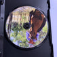 The Lad And The Colt (DVD, 2007) Guy McClean Australian Bush Poetry  All Regions