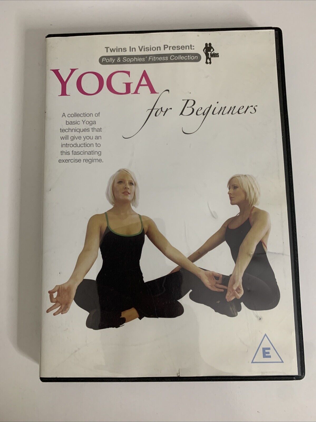 Twins In Vision : Yoga For Beginners (DVD, 2008) All Regions