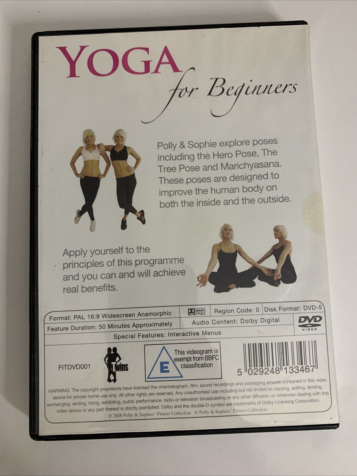Twins In Vision : Yoga For Beginners (DVD, 2008) All Regions