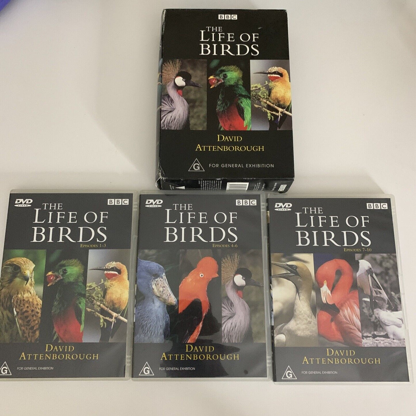 The Life of Birds (DVD, 1998) David Attenborough BBC Documentary Box Set Region4