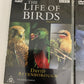 The Life of Birds (DVD, 1998) David Attenborough BBC Documentary Box Set Region4