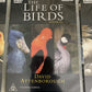 The Life of Birds (DVD, 1998) David Attenborough BBC Documentary Box Set Region4