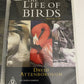 The Life of Birds (DVD, 1998) David Attenborough BBC Documentary Box Set Region4