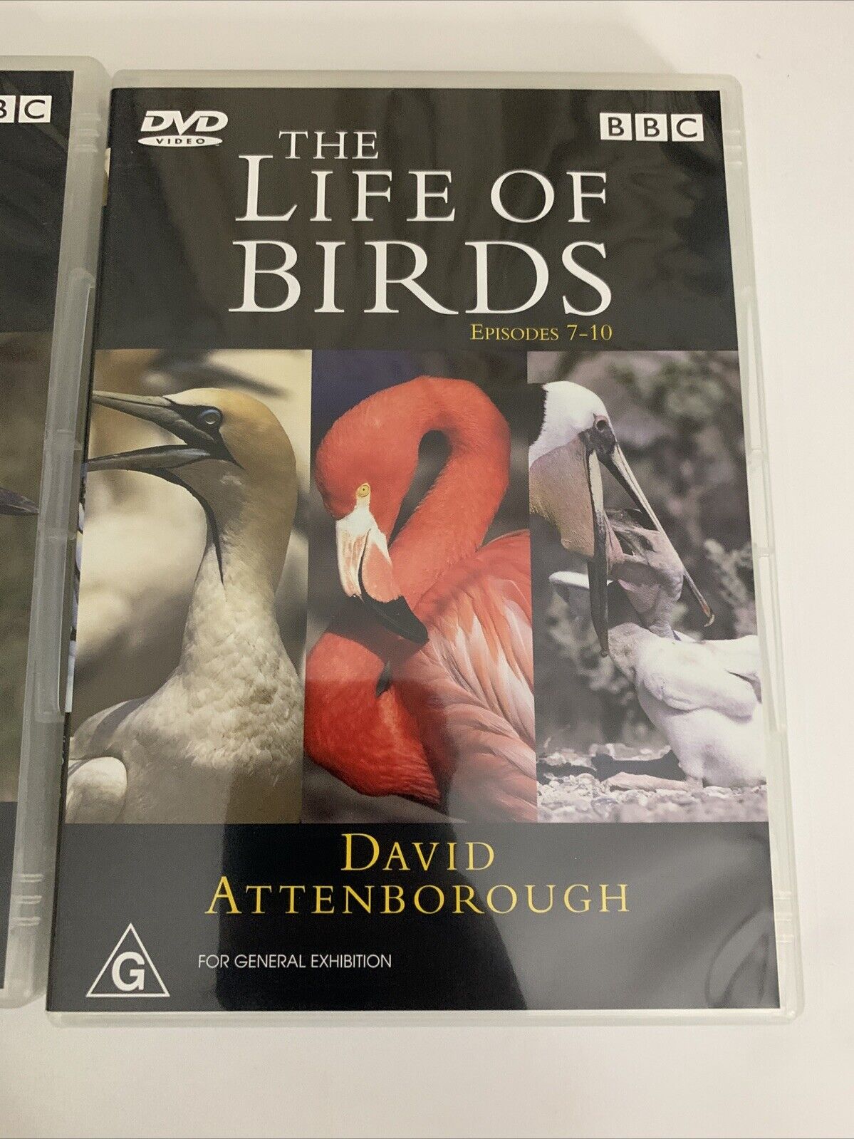 The Life of Birds (DVD, 1998) David Attenborough BBC Documentary Box Set Region4