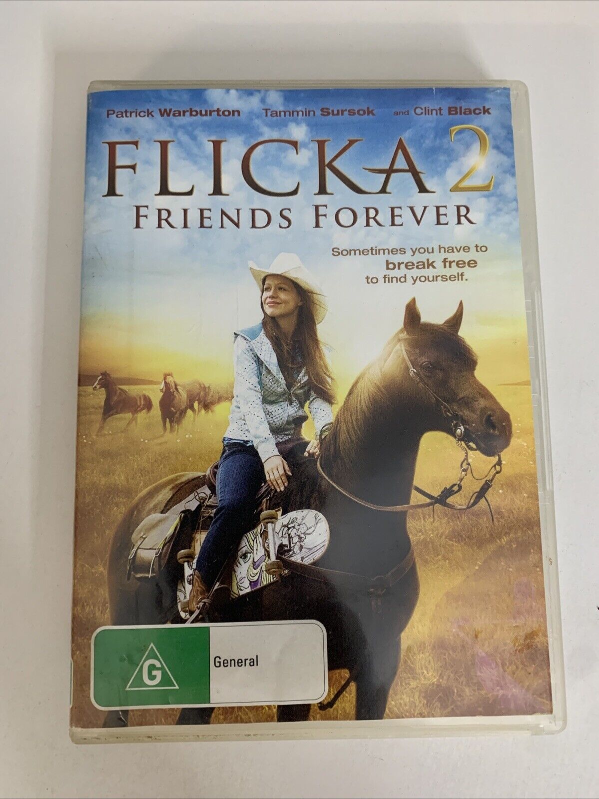 Flicka 2 Friends Forever (DVD, 2010) Clint Black, Tammin Sursok  Region 4