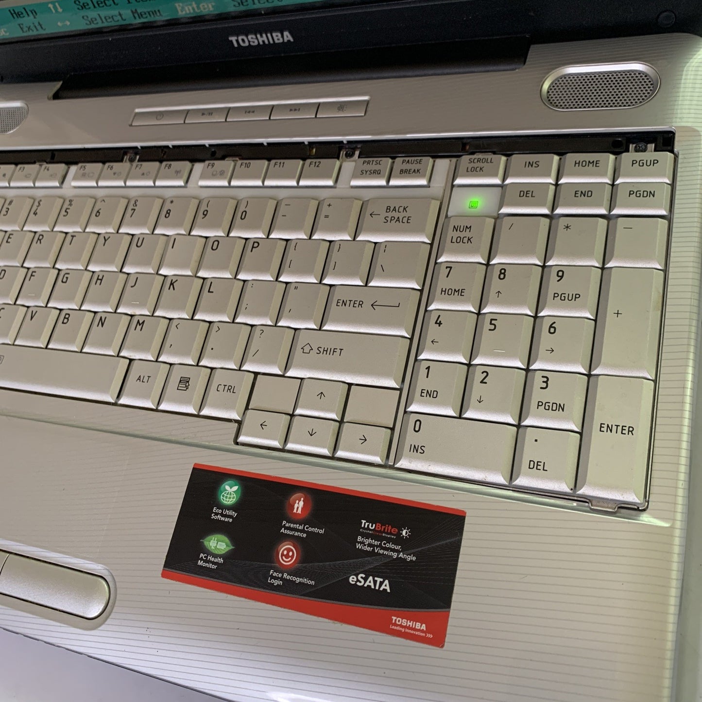 Toshiba Satellite L500D Laptop 15.6" 4GB AMD Athlon X2 QL-65*No HDD Power Supply