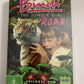 Bindi The Jungle Girl : Roar! Vol 3 (DVD, 2007) All Regions