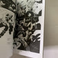 Sin City: Recut And Extended (DVD + Graphic Novel, 2005) 2-Discs Region 4