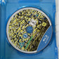 Despicable Me (Blu-ray, 2010) Animation Film All Regions