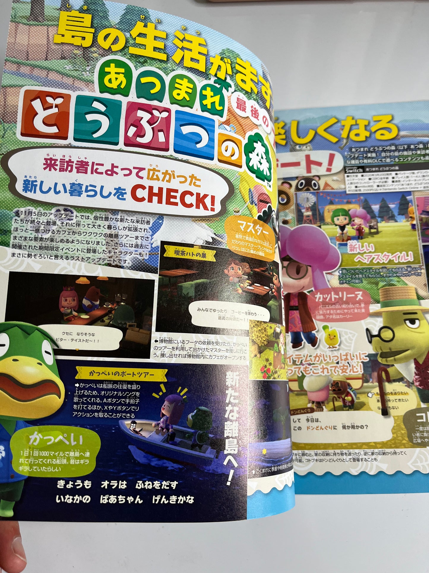 Nintendo Dream Magazine #1 January 2022 Animal Crossing, Making of Zelda, Danganronpa, Pokemon Legends