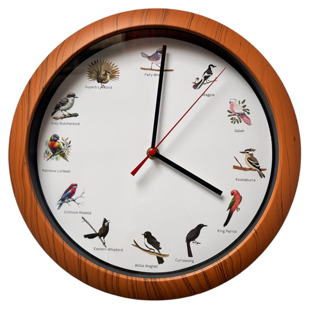 Australian Bird Song Wall Clock 30cm Diameter Singing – Retro Unit
