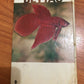 Bettas by Ostrow Marchall Hardback