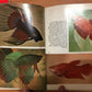 Bettas by Ostrow Marchall Hardback