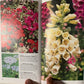 An Illustrated Guide To Annuals: Bob Legge