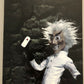 Robot Chicken : Season 1 (DVD, 2007, 2-Disc Set) Region 4
