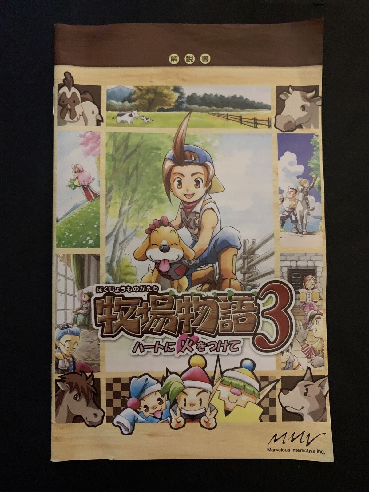 Bokujou Monogatari 3 (Harvest Moon) - PS2 Playstation 2 NTSC-J Japan Game