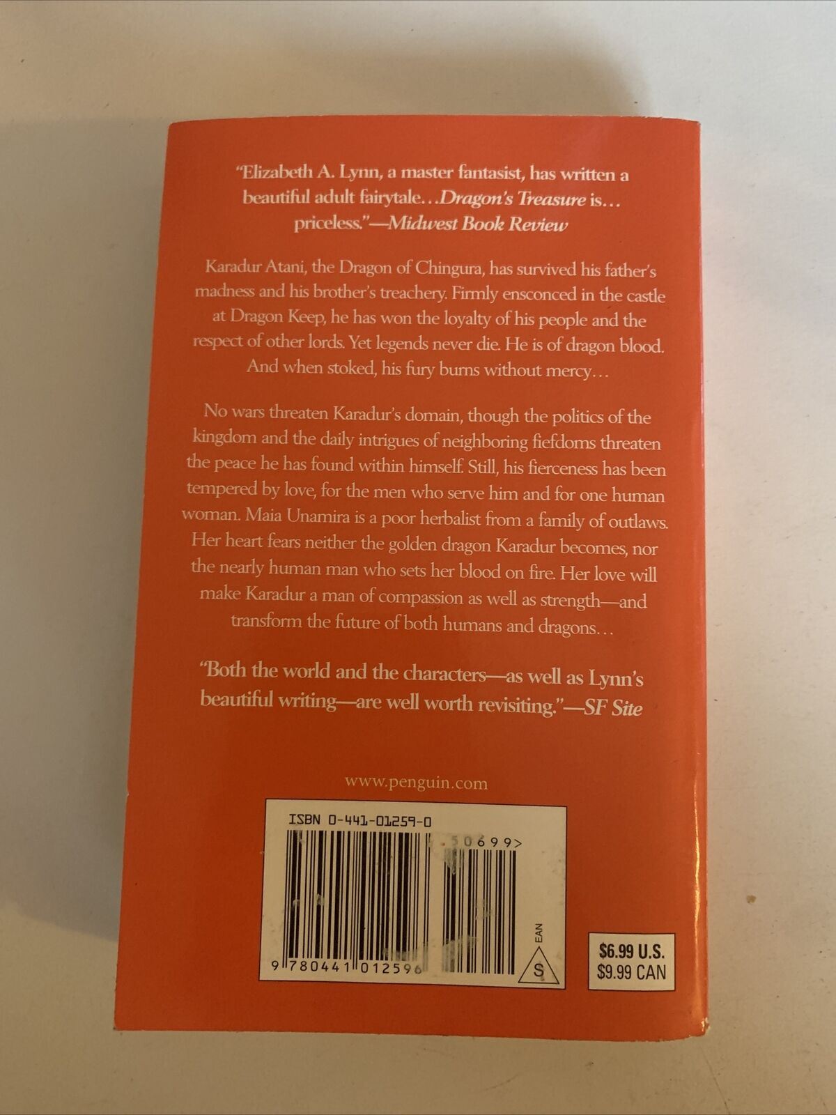 Dragon's Treasure by Elizabeth A. Lynn (Paperback, 2003)
