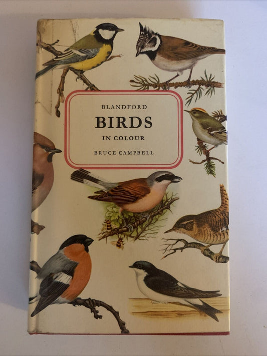 Birds In Colour by Bruce Campbell - Hardcover 1968