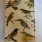 Birds In Colour by Bruce Campbell - Hardcover 1968