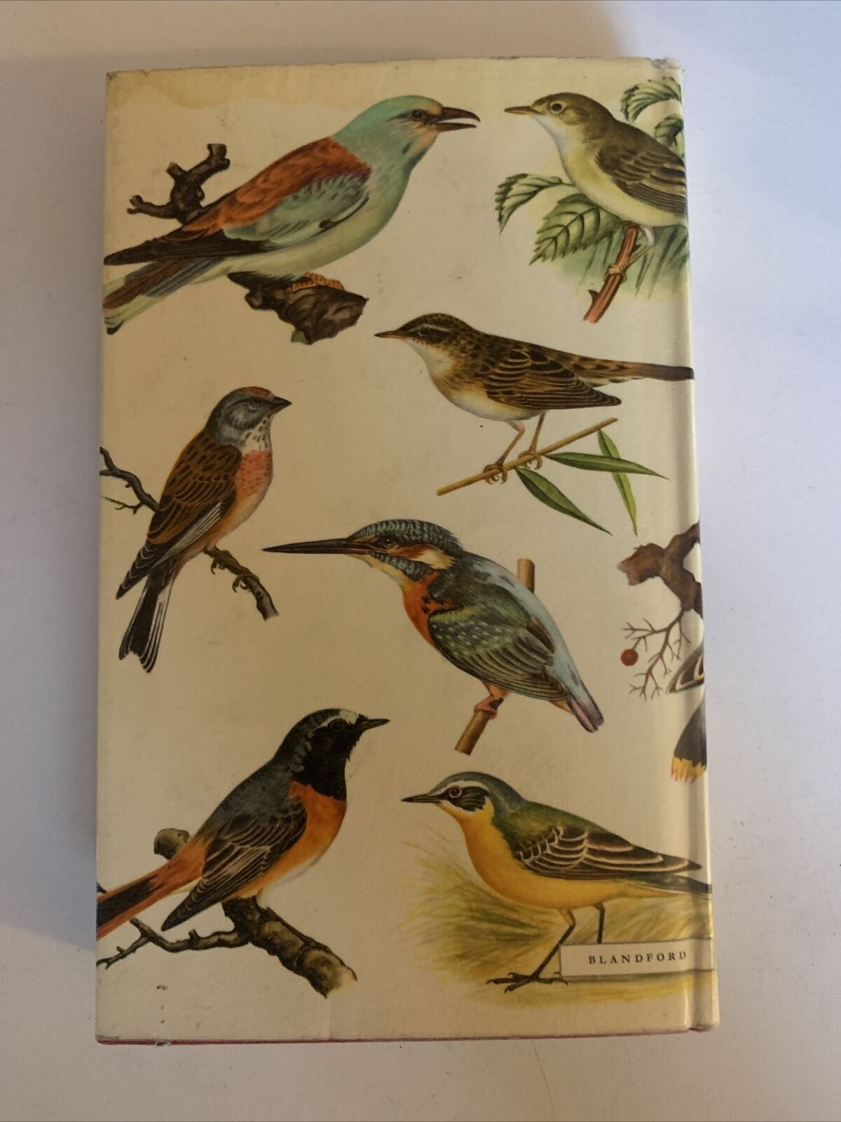 Birds In Colour by Bruce Campbell - Hardcover 1968