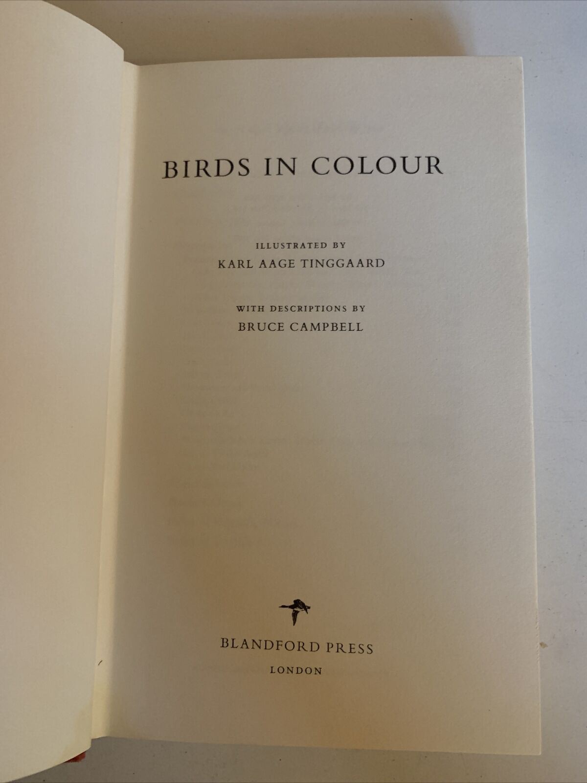 Birds In Colour by Bruce Campbell - Hardcover 1968