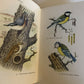 Birds In Colour by Bruce Campbell - Hardcover 1968