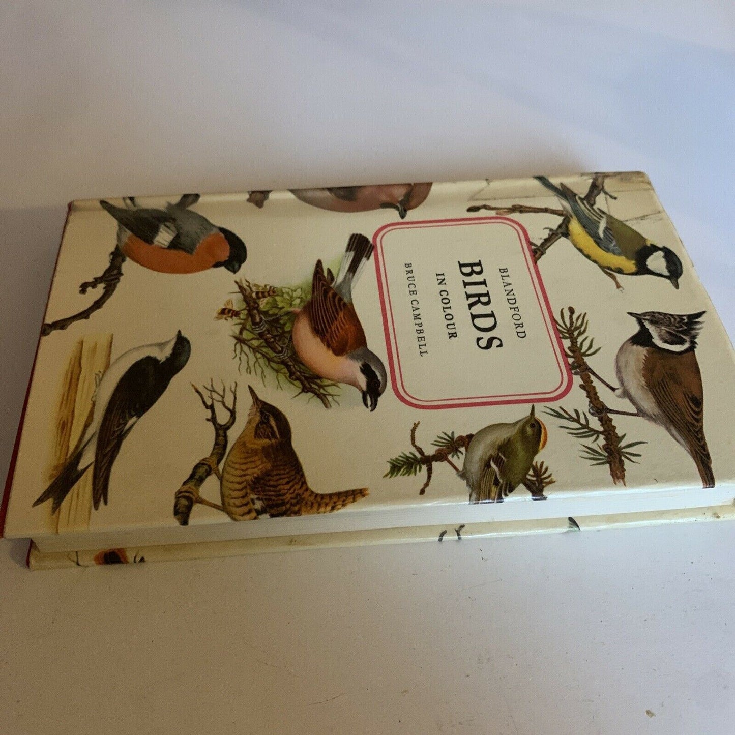 Birds In Colour by Bruce Campbell - Hardcover 1968