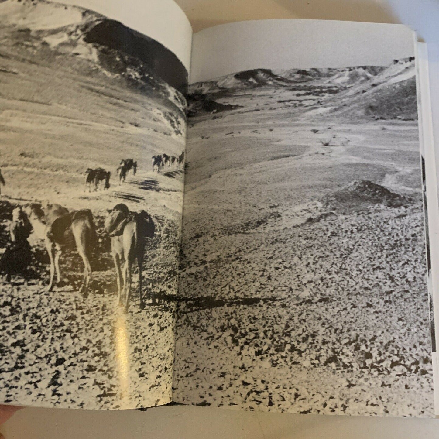 Arabian Sands by Wilfred Thesiger (Hardcover, 1990)