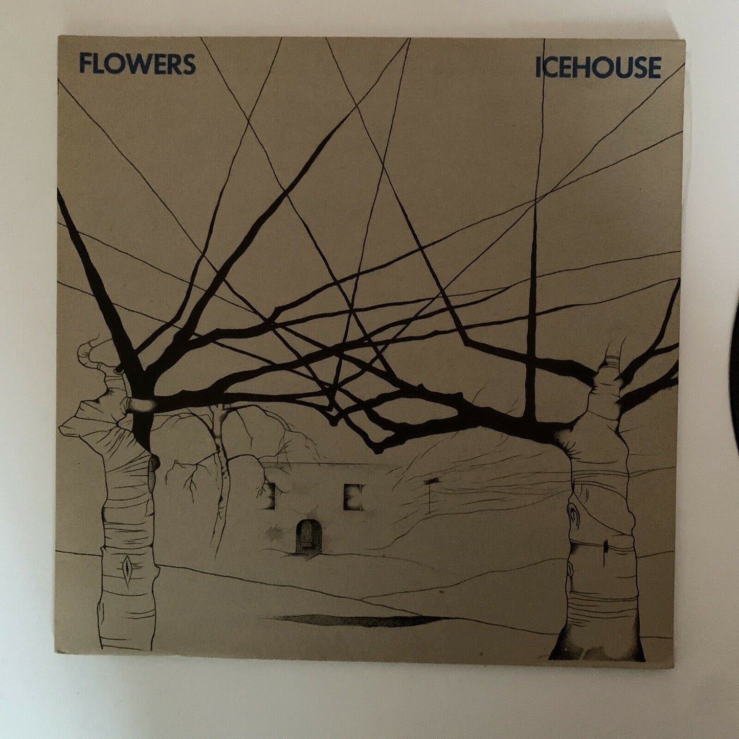 Ice House - Flowers Vinyl 1980