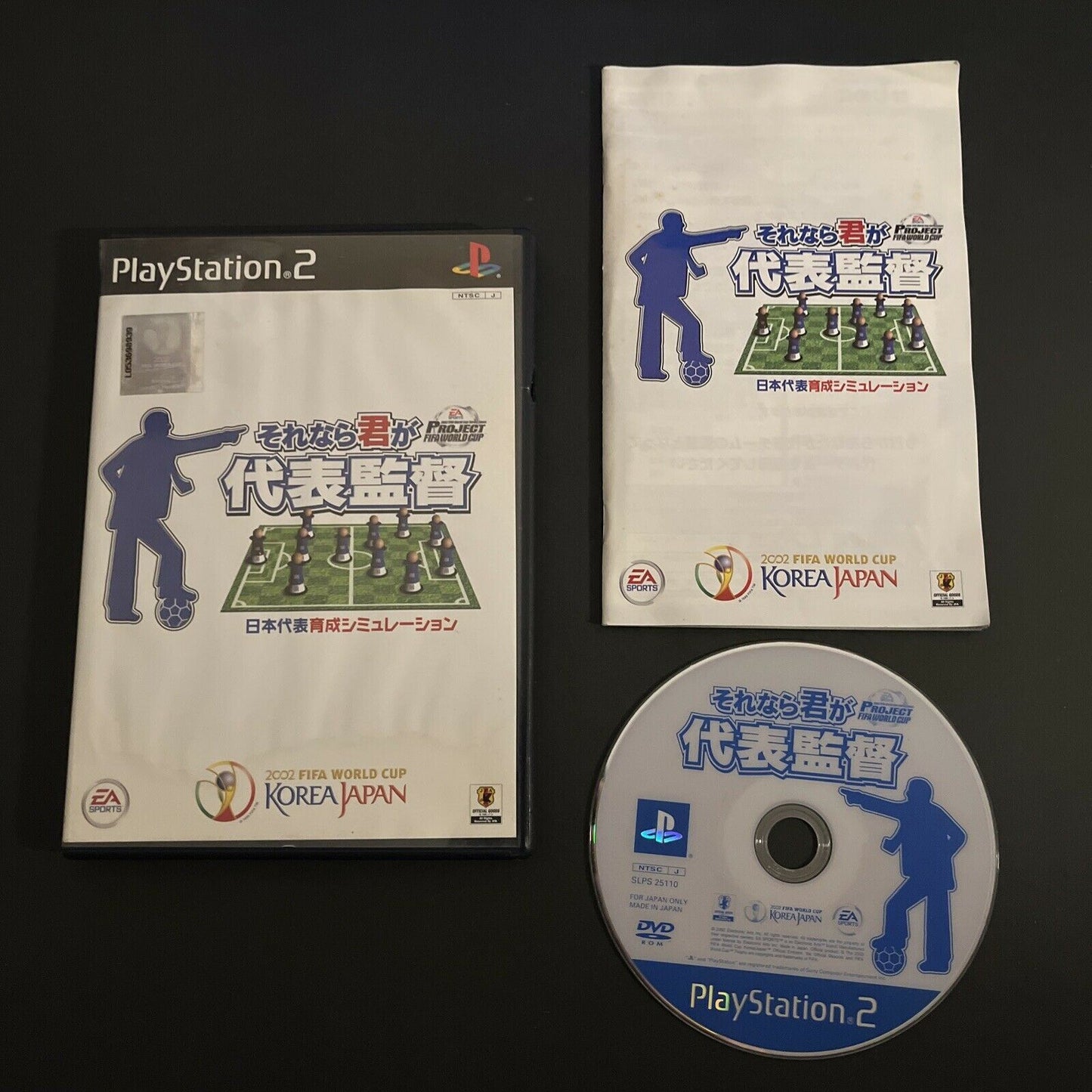 Project FIFA: World Cup 2002 - PlayStation PS2 NTSC-J Japan Game