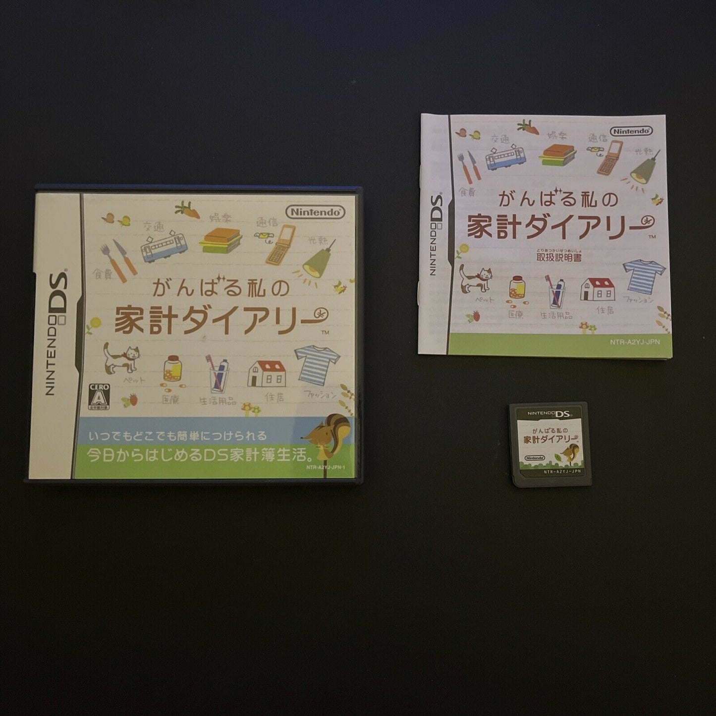 Do Your Best My Household Diary - Nintendo DS Japan Game