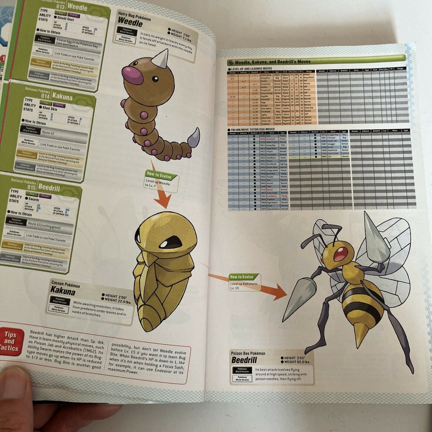 Pokemon Black & Pokemon White Versions: Official National Pokedex: The Official
